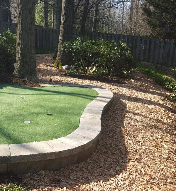 a simple synthetic backyard putting green in a McLean backyard