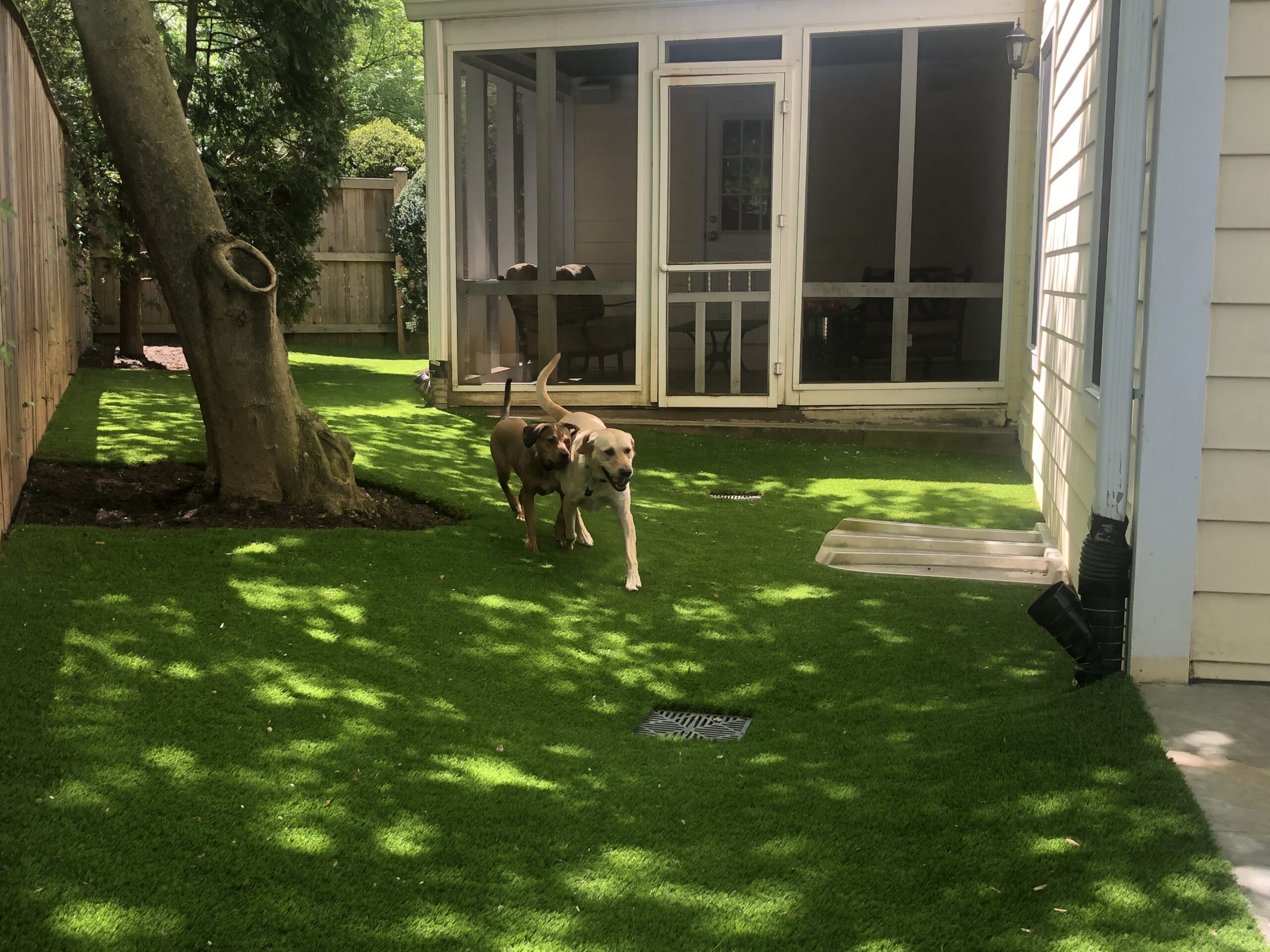 Artificial Turf Installation in Gaithersburg, MD