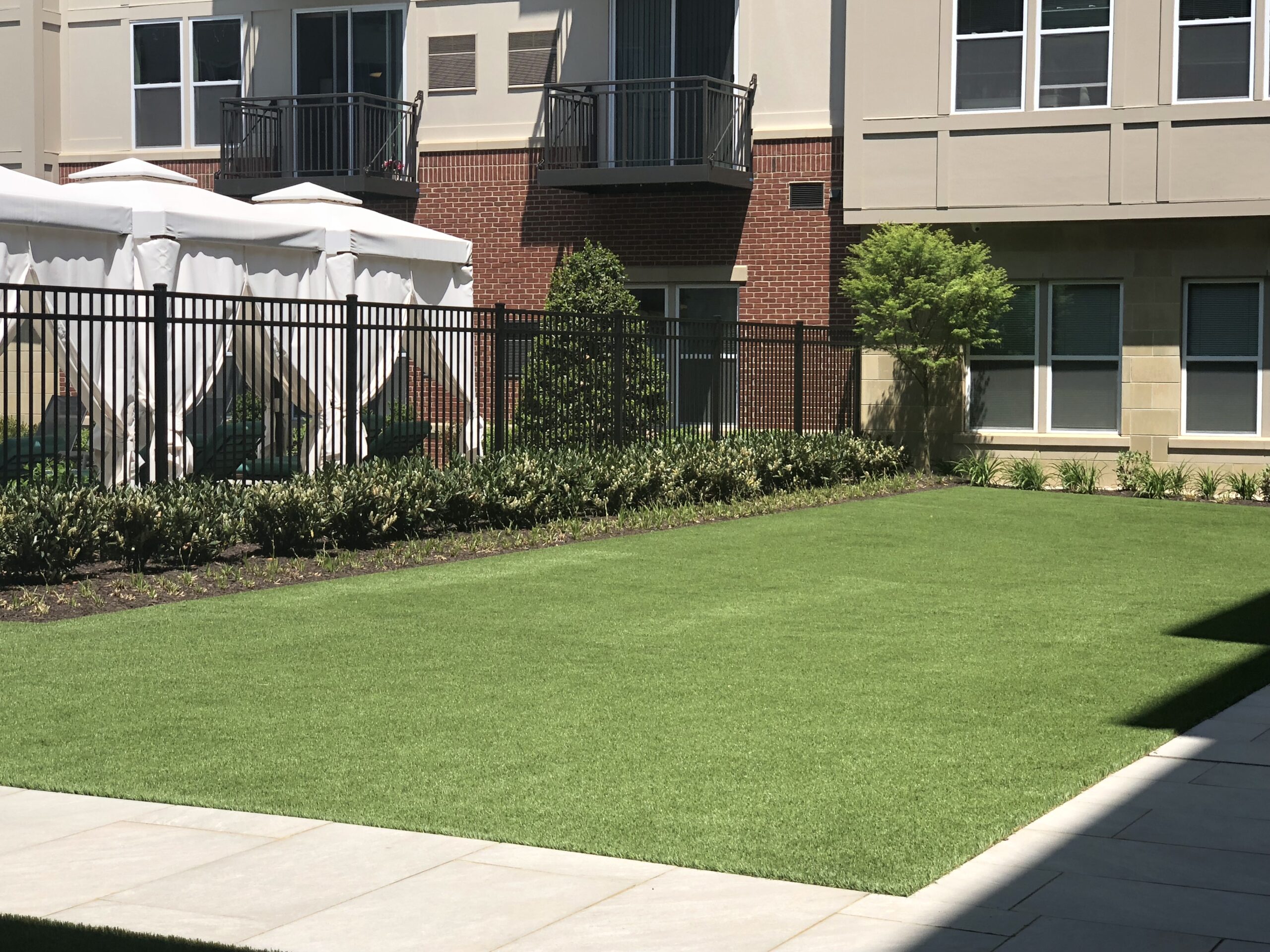 Artificial Turf Installation in Silver Spring, MD