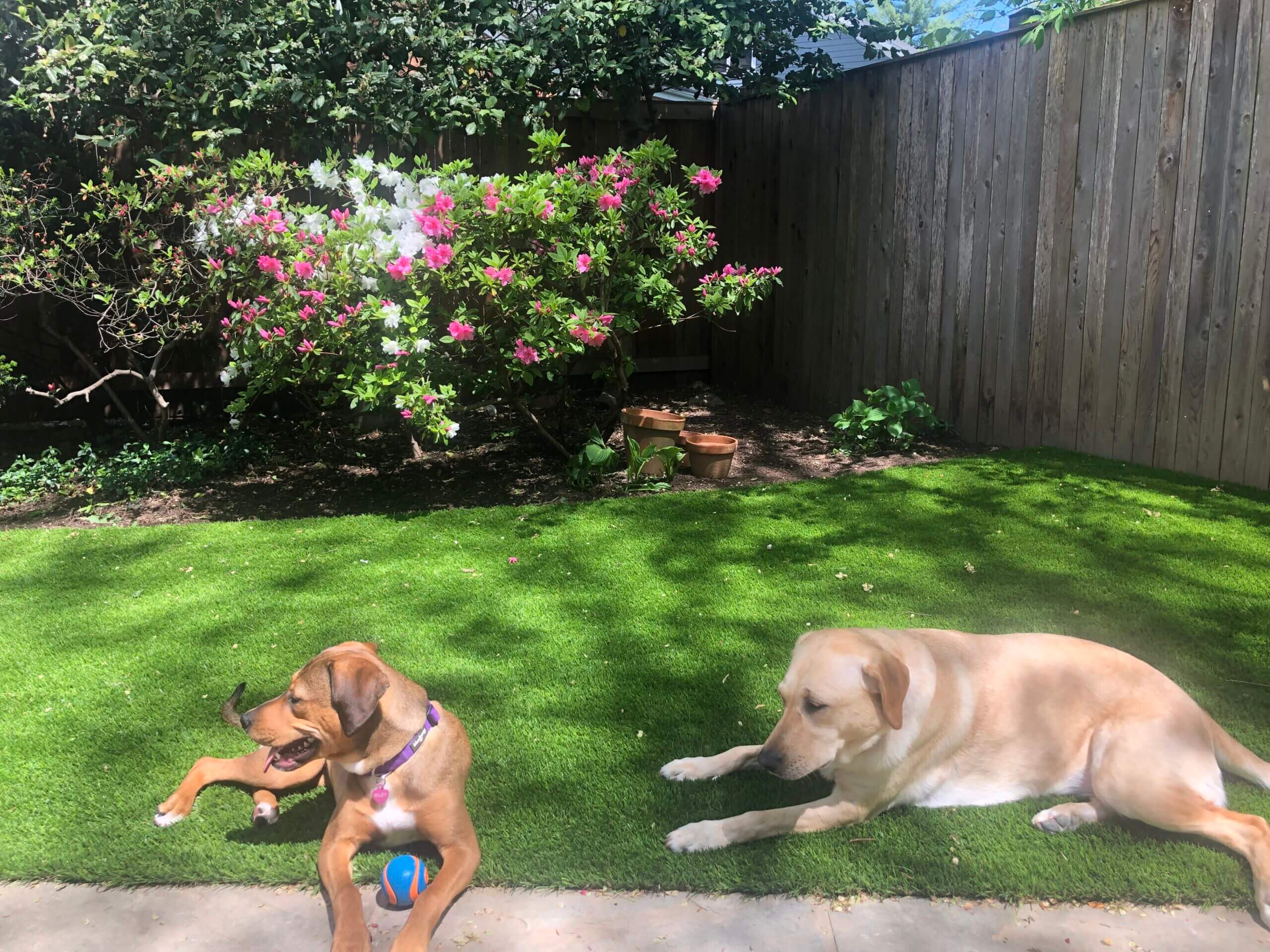 Artificial Turf Installation in Tysons Corner, VA