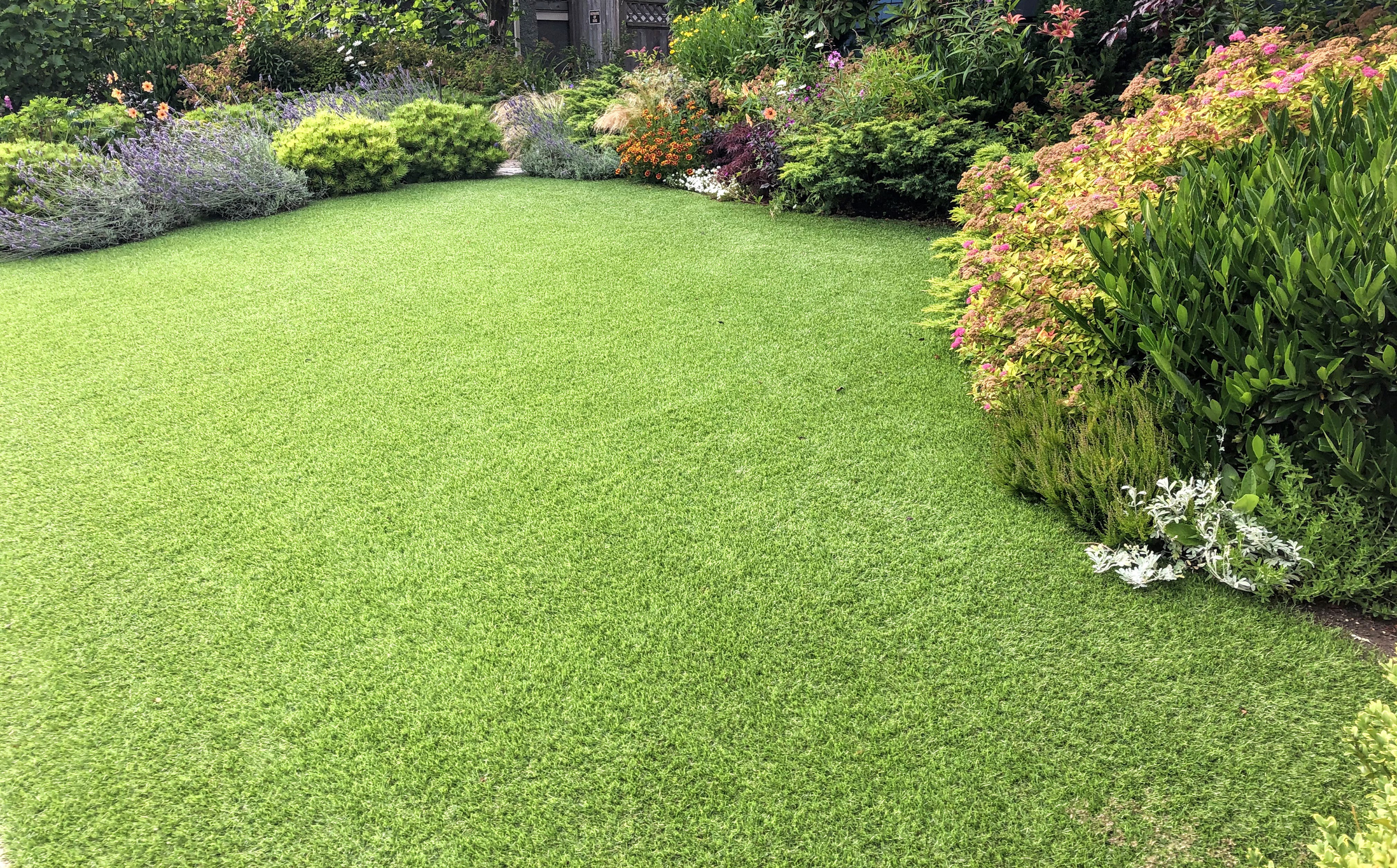 year-round-green-lawn